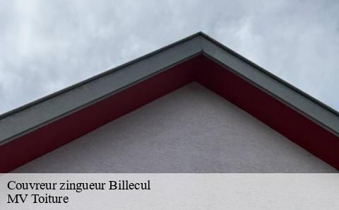 couvreur-zingueur