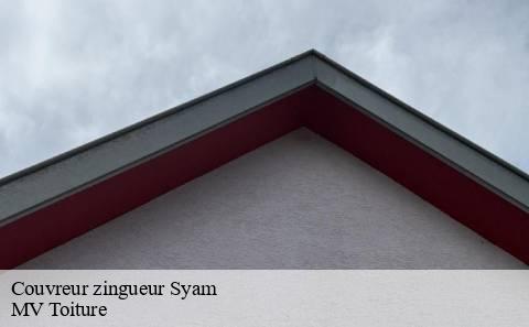 couvreur-zingueur