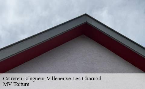 couvreur-zingueur