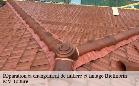 reparation-et-changement-de-faitiere-et-faitage