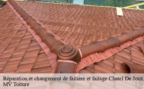 reparation-et-changement-de-faitiere-et-faitage