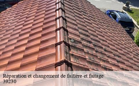reparation-et-changement-de-faitiere-et-faitage