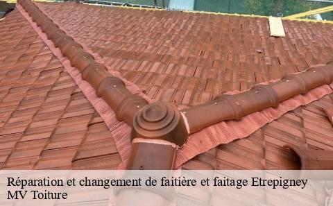 reparation-et-changement-de-faitiere-et-faitage