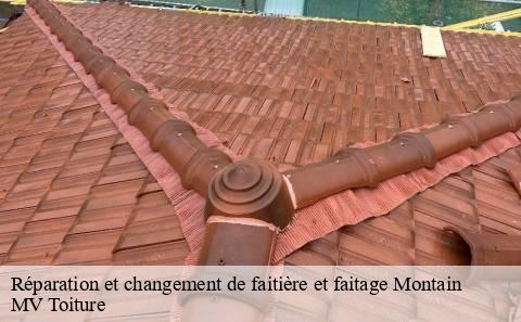 reparation-et-changement-de-faitiere-et-faitage