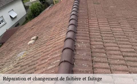reparation-et-changement-de-faitiere-et-faitage