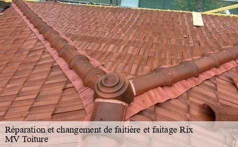 reparation-et-changement-de-faitiere-et-faitage