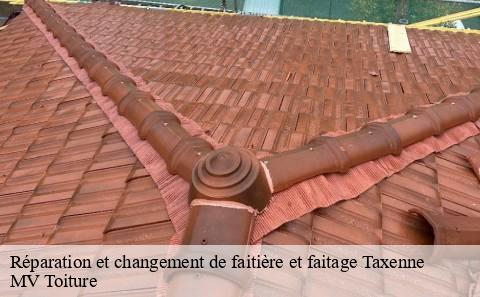 reparation-et-changement-de-faitiere-et-faitage