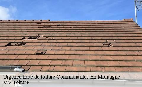 urgence-fuite-de-toiture