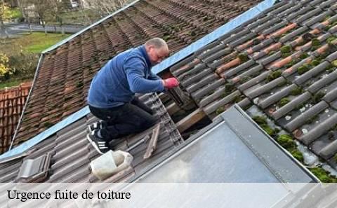 urgence-fuite-de-toiture