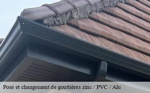 pose-et-changement-de-gouttieres-zinc-pvc-alu
