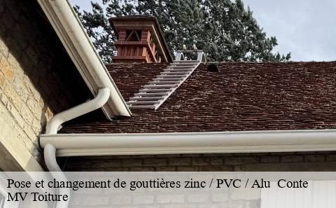 pose-et-changement-de-gouttieres-zinc-pvc-alu