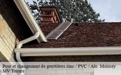pose-et-changement-de-gouttieres-zinc-pvc-alu
