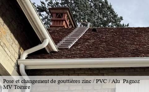 pose-et-changement-de-gouttieres-zinc-pvc-alu