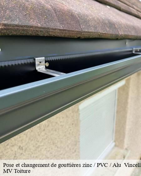 pose-et-changement-de-gouttieres-zinc-pvc-alu