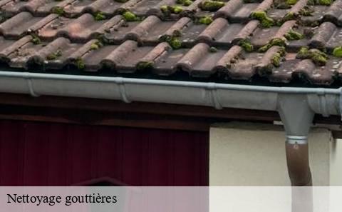 nettoyage-gouttieres