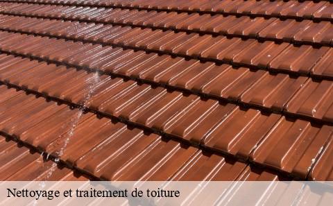 nettoyage-et-traitement-de-toiture