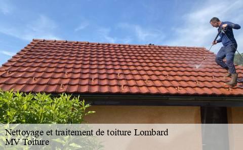 nettoyage-et-traitement-de-toiture