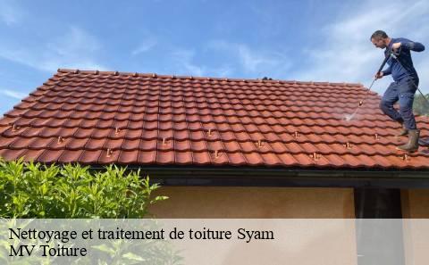 nettoyage-et-traitement-de-toiture