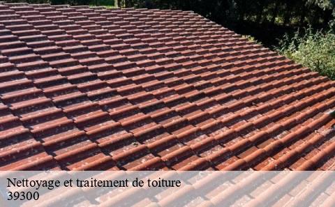 nettoyage-et-traitement-de-toiture
