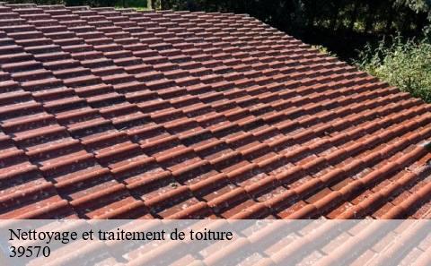 nettoyage-et-traitement-de-toiture