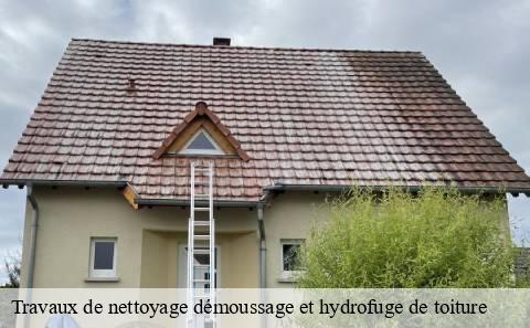 travaux-de-nettoyage-demoussage-et-hydrofuge-de-toiture
