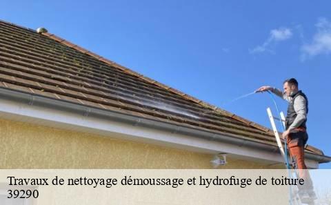 travaux-de-nettoyage-demoussage-et-hydrofuge-de-toiture